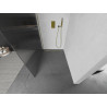 Mexen Kioto sprchová stěna Walk-in 100 x 200 cm, proužky 8 mm, zlatá - 800-100-101-50-09