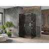 Mexen Omega posuvná sprchová kabina 110 x 80 cm, grafit, chrom - 825-110-080-01-40