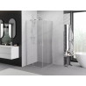 Mexen Exo-S Duo Čtvercová posuvná sprchová kabina 70 x 70 cm, transparentní, chrom - 8111-070-070-01-00