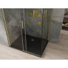 Mexen Omega sprchový kout posuvný 100 x 90 cm, transparentní, zlatý + vanička Flat, černá - 825-100-090-50-00-4070G
