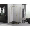 Mexen Exo sprchový kout s dveřmi 100 x 90 cm, transparentní, zlatý - 8181-100-090-50-00