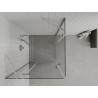 Mexen Roma Duo sprchový kout s otočnými dveřmi 100 x 100 cm, průhledný, chrom - 854-100-100-02-00