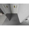 Mexen Kioto sprchová stěna Walk-in 100 x 200 cm, zrcadlová 8 mm, zlatá - 800-100-101-50-50