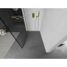 Mexen Kioto sprchová stěna Walk-in 110 x 200 cm, černý rám 8 mm, zlatá - 800-110-101-50-70