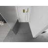 Mexen Kioto sprchová stěna Walk-in 130 x 200 cm, transparentní/matná 8 mm, zlatá - 800-130-101-50-35