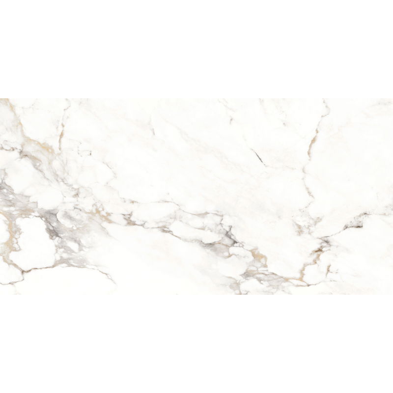 Mexen Scordia Šedá glazovaná rektifikovaná dlaždice G1, podlahová a nástěnná dlaždice 120 x 60 cm, lesk - TL125-120-060-00