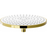 Mexen D-05 sprchová hlavice 22 cm, zlatá/bílá - 79705-50