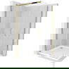 Mexen Omega sprchový kout posuvný 100 x 100 cm, průhledný, zlatý + vanička Flat - 825-100-100-50-00-4010