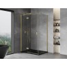 Mexen Mist-H T sprchový kout otevíratelný levý 120 x 110 cm, transparentní, zlatý kartáčovaný - 8A5T-120-110-55-00-L