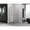 Mexen Exo-S sprchový kout posuvný 120 x 120 cm, transparentní, zlatý - 8151-120-120-50-00
