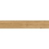 Mexen Avocado Honey glazovaný rekt. G1, dlažba dřevěným vzorem podlahová-stěnová 120 x 20 cm, mat - TL601-120-020-03
