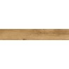 Mexen Avocado Honey glazovaný rekt. G1, dlažba dřevěným vzorem podlahová-stěnová 120 x 20 cm, mat - TL601-120-020-03