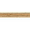 Mexen Avocado Honey glazovaný rekt. G1, dlažba dřevěným vzorem podlahová-stěnová 120 x 20 cm, mat - TL601-120-020-03