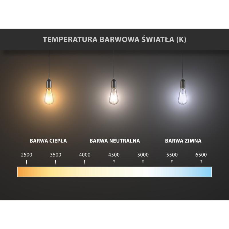 Mexen Vintis LED filamentová žárovka E27, G45, 2W, Neutrální - 4000K, 240 lm, čirá - L156-E27-0227-00 - L156-E27-0240-00
