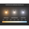 Mexen Vintis LED filamentová žárovka E27, G45, 2W, Neutrální - 4000K, 240 lm, čirá - L156-E27-0227-00 - L156-E27-0240-00