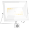 Mexen Luxpro+ LED reflektor s pohybovým senzorem, 70W, Studená - 6500K, 7700 lm, bílá - L236-070-65-20