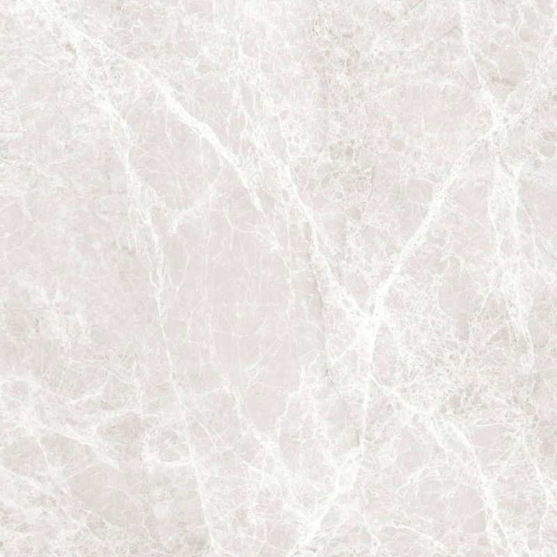 Mexen Lizard Stříbrný glazovaný rektifikovaný gres G1, dlaždice podlahově-stěnová 60 x 60 cm, lesk - TL109-060-060-03