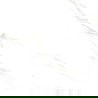 Mexen Bliss Bílý glazovaný rektifikovaný gres G1, podlahovo-stěnová dlaždice 60 x 60 cm, lesk - TL149-060-060-00