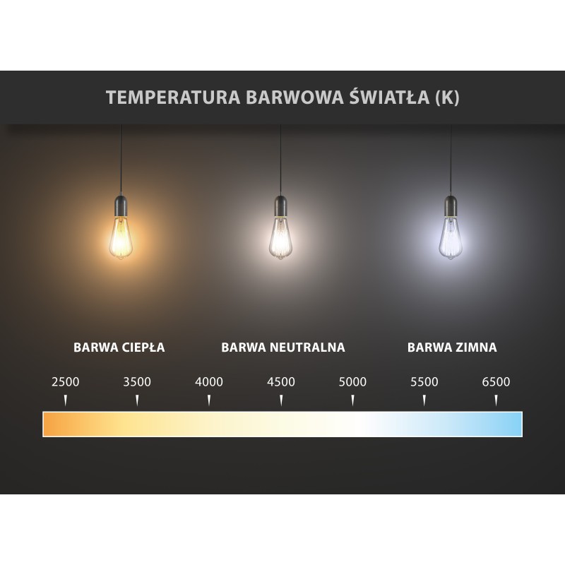 Mexen Vintis 6x Žárovka filament LED E27, G45, 6W, Neutrální - 4000K, 720 lm, čirá - L156-E27-0627-00x06