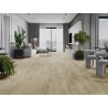 Mexen Calera vzorek vinylových panelů LVT Dryback 2,5 mm, podklad PVC, 4 V-drážka, Dub - F1320-S