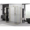 Mexen Exo-3S sprchový kout 3-stěnový posuvný 200 x 100 cm, transparentní, zlatý - 8152-200-100-50-00-3S