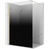 Mexen Kioto sprchová stěna Walk-in 120 x 200 cm, černá ombre 8 mm, zlatá - 800-120-101-50-76