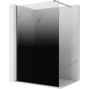 Mexen Kioto sprchová stěna Walk-in 120 x 200 cm, ombre černá 8 mm, broušená gun gray - 800-120-101-66-76